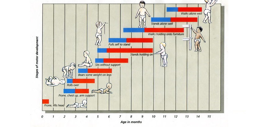 Vikash & Vanivikash - develop adaptive methods to enhance the function of children with motor difficulties. These modifications include things as simple as special pencil grips.