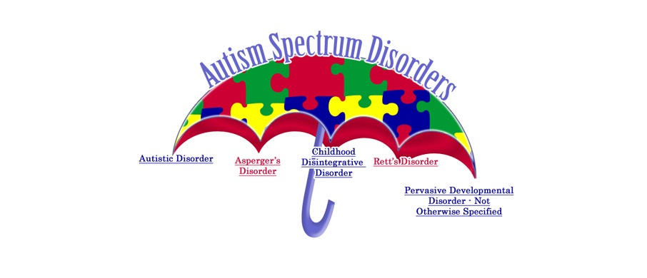 Vikash & Vanivikash - Educate Autism Spectrum Disorder children with their fullest potential.